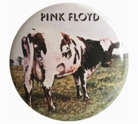 Pink floyd atom